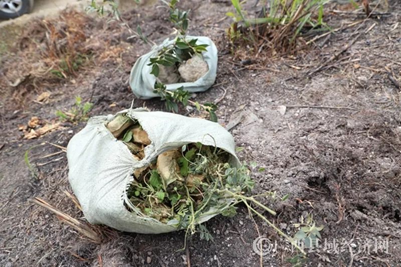 卡普空严厉惩罚《街霸5》中恶意退出比赛的玩家【星空app官网】(图1) 星空app官网