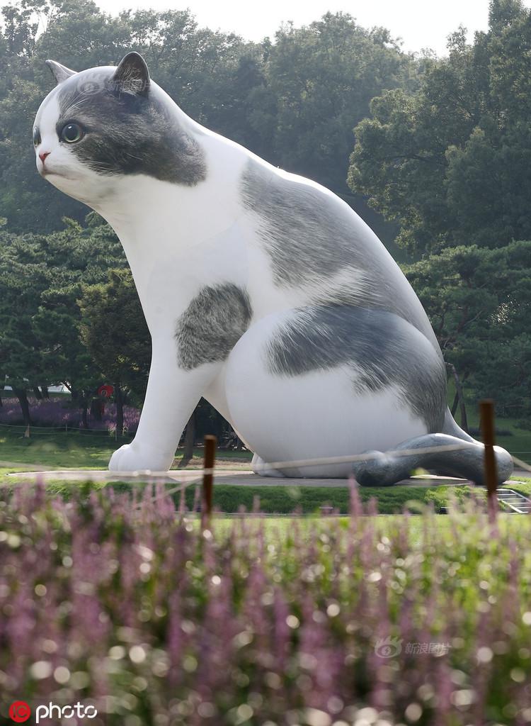 画面党的福音 《尼尔:自动人形》性能提升MOD【星空官方网站】(图1) 星空app官方网页