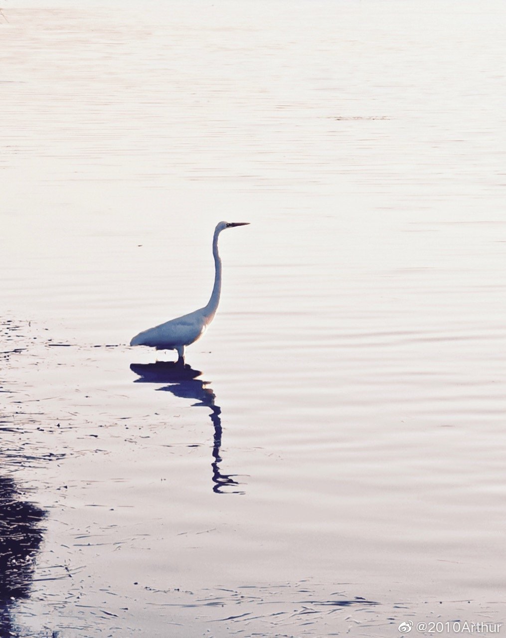 星空app官方网页