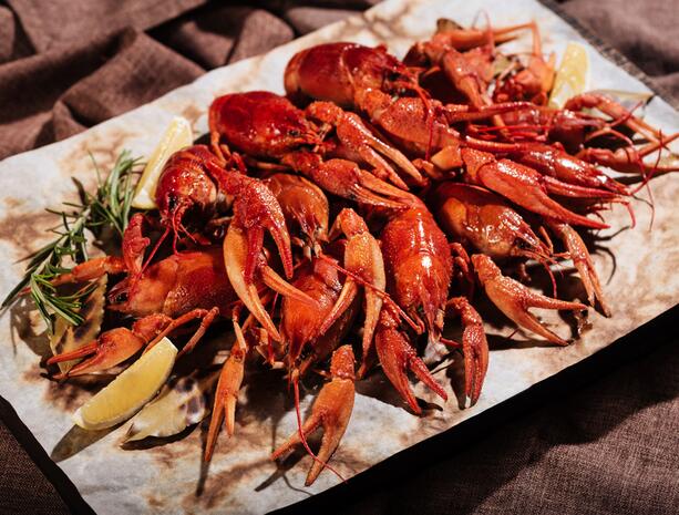 2018平阳十条经典旅游线路评选运动正式启动 自媒体大V平阳采风相逢山海间【星空app官网】(图1) 星空官方网站