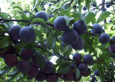 【星空app官方网页】从抢蛋糕到做蛋糕,中国卫星遥感向商业化迈进(图1) 星空app官网