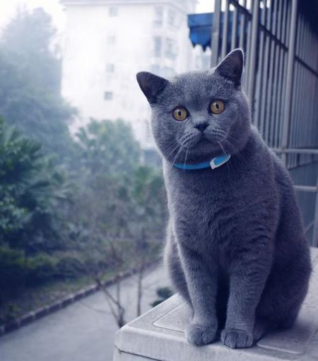 星空app官网_国际民航组织召开历史上第二次高级别安全会议 商讨航班追踪与武装冲突区域飞行安全(图2) 星空app官网