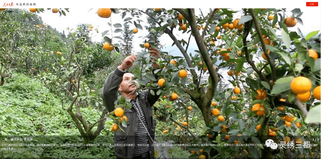 【媒体聚焦】各大媒体关注三都这些事!_星空app官网(图10)
【媒体聚焦】各大媒体关注三都这些事!_星空app官网(图10)