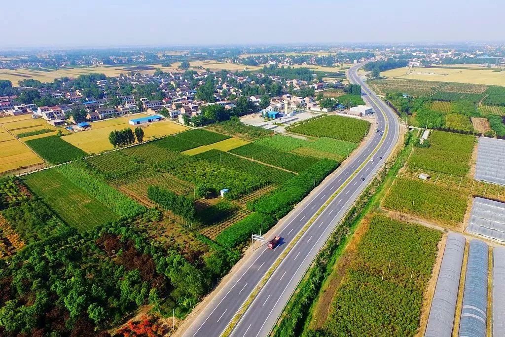 名师免费书法课进校园 砚田书院开学季掀毛笔书法热潮‘星空app官网’(图3) 星空官方网站