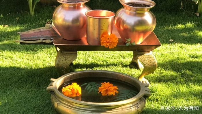 星空官方网站:第二届《中国汉字听写大会》隆重开播,承德露露特约赞助(图4) 星空官方网站