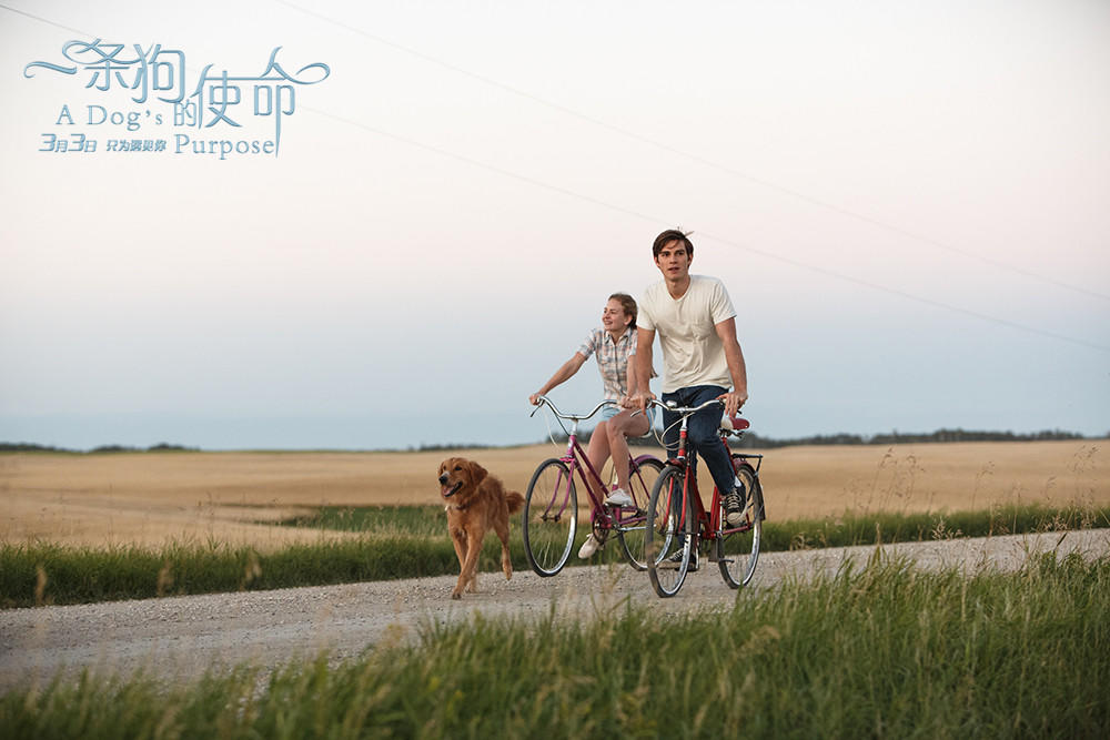 “星空app官方网页”女教师患癌被开除 直至去世仲裁还未履行(图1) 星空官方网站