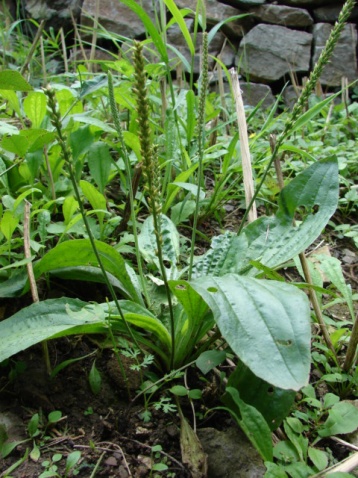 三季度综艺复盘:垂直综艺出圈难 情感观察热度高-星空app官方网页(图4) 星空app官方网页