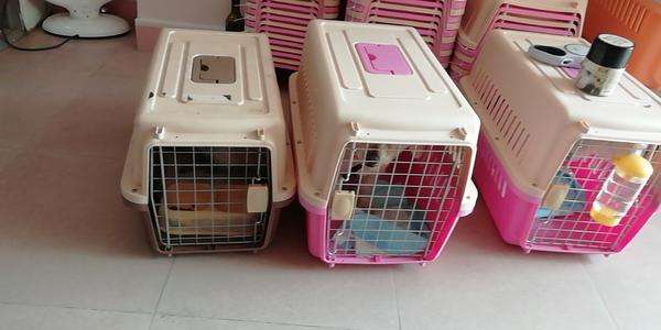 星空app官方网页