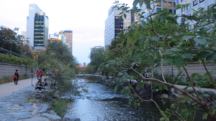 星空app官方网页