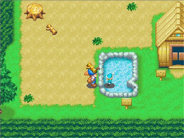 星空app官方网页