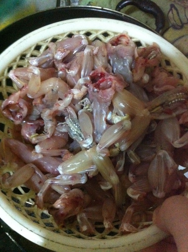 星空app官方网页