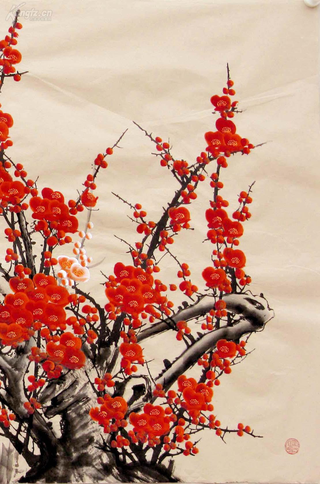 星空app官方网页