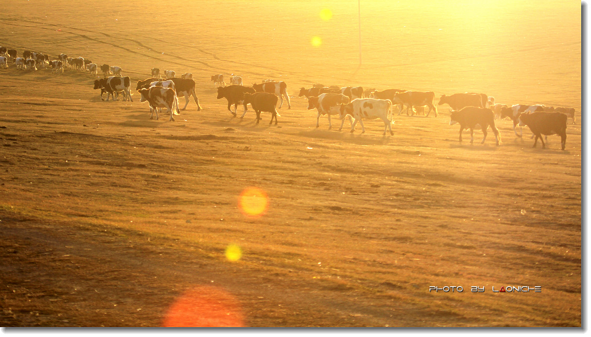 星空app官方网页