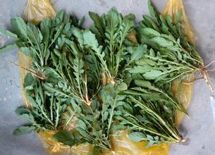 ‘星空app官网’
行业板块“八仙过海” 基金机构“各显神通”(图3) 星空app官网