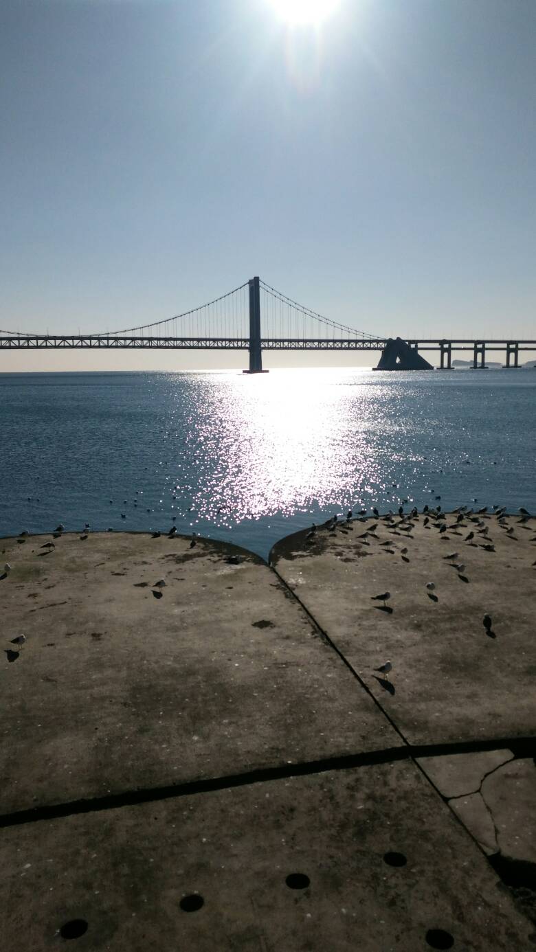 星空app官方网页