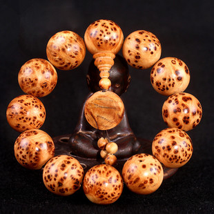 星空app官方网页