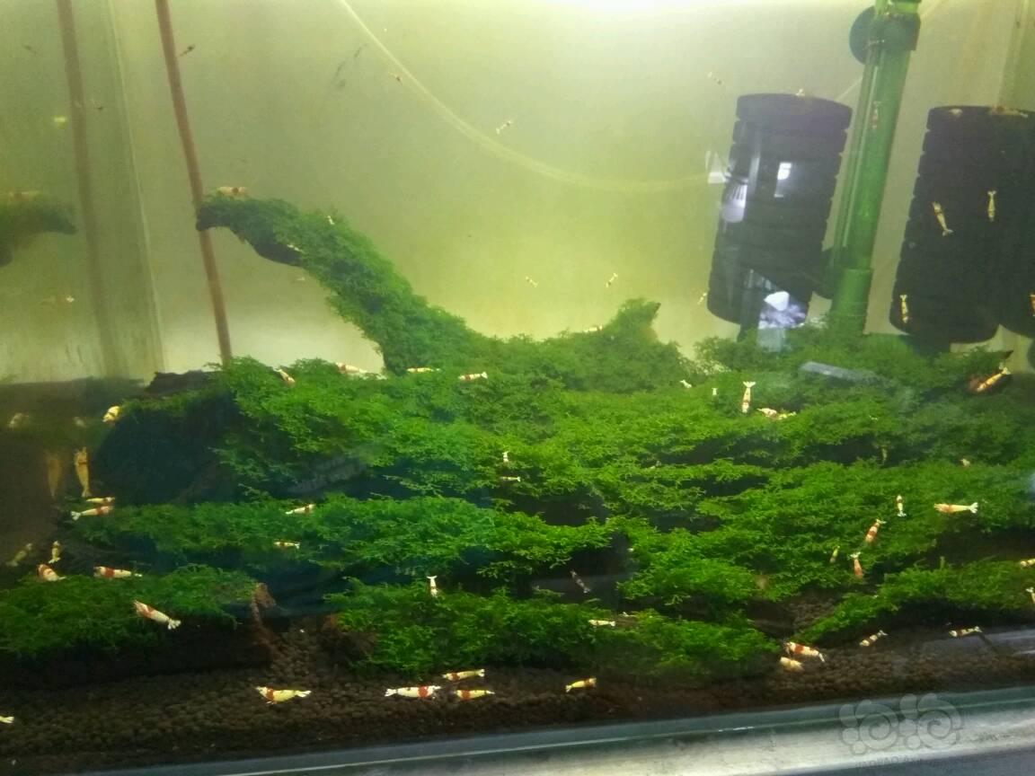 星空app官方网页