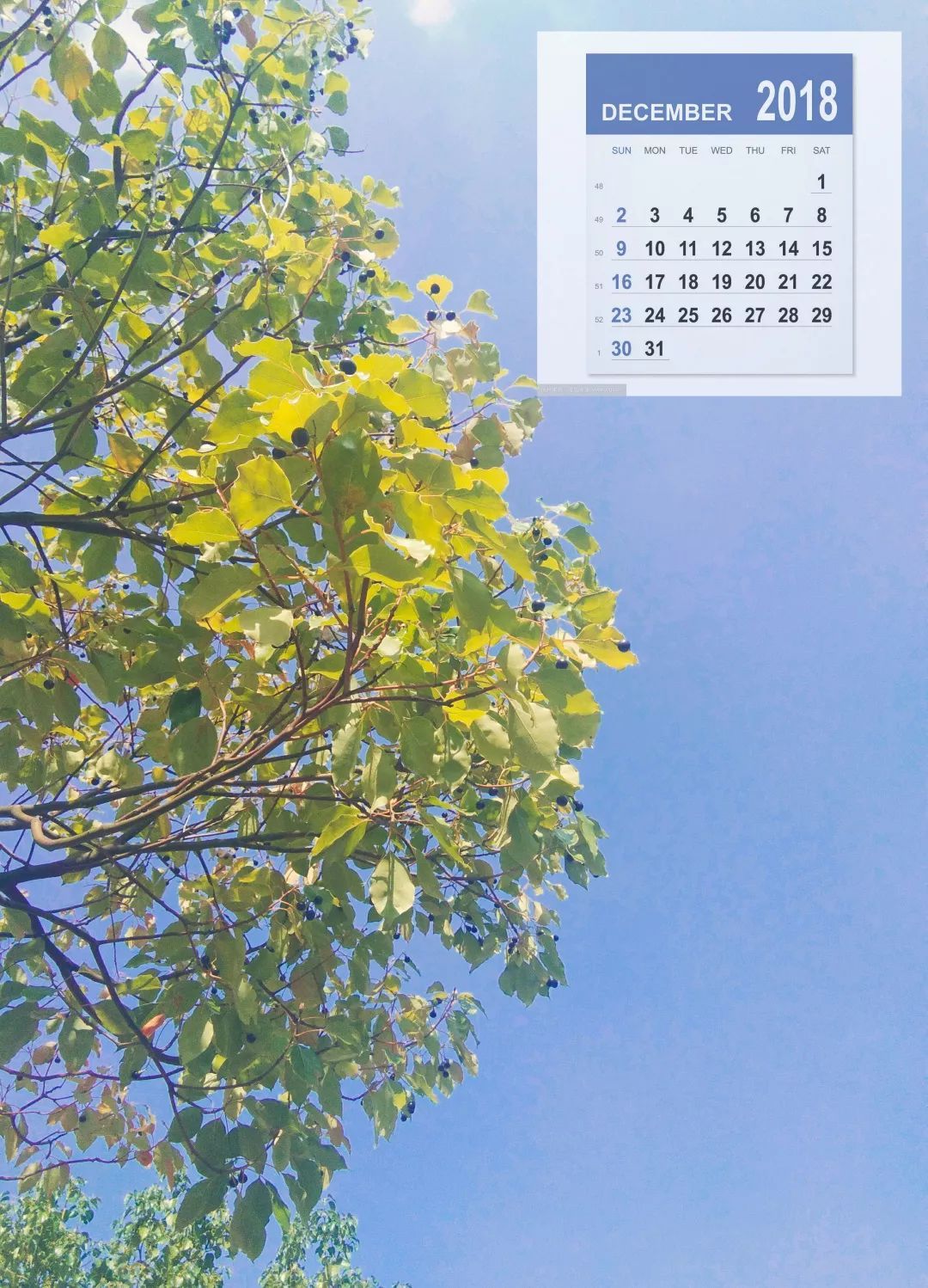 2019年南宁群众举报犯罪嫌疑人喜提20万元 我国对举报者打击报复怎么处罚呢?_星空官方网站(图4) 星空app官网