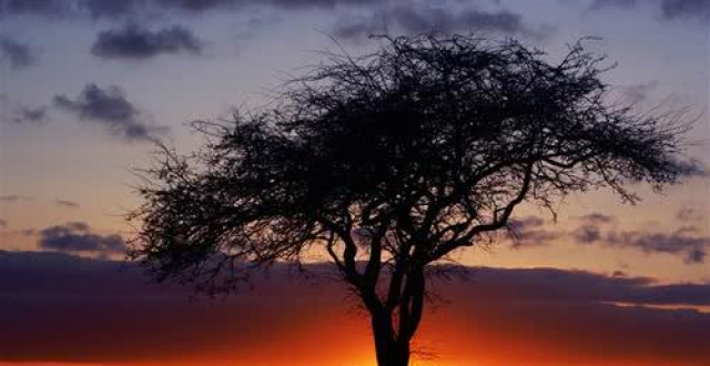 星空app官网|福州缓解公交“司机荒” 主动加薪开设通勤专线(图1) 星空app官方网页