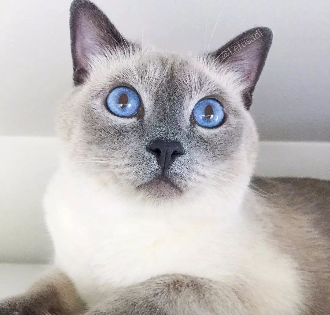 星空app官方网页:北工大都柏林学院深入开展校企合作 实现互利共赢(图3) 星空官方网站