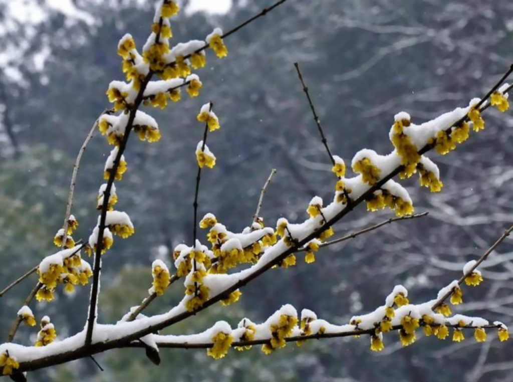 星空app官方网页