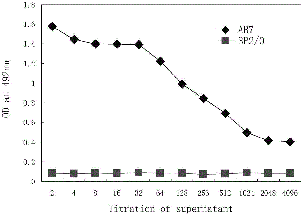 星空app官方网页