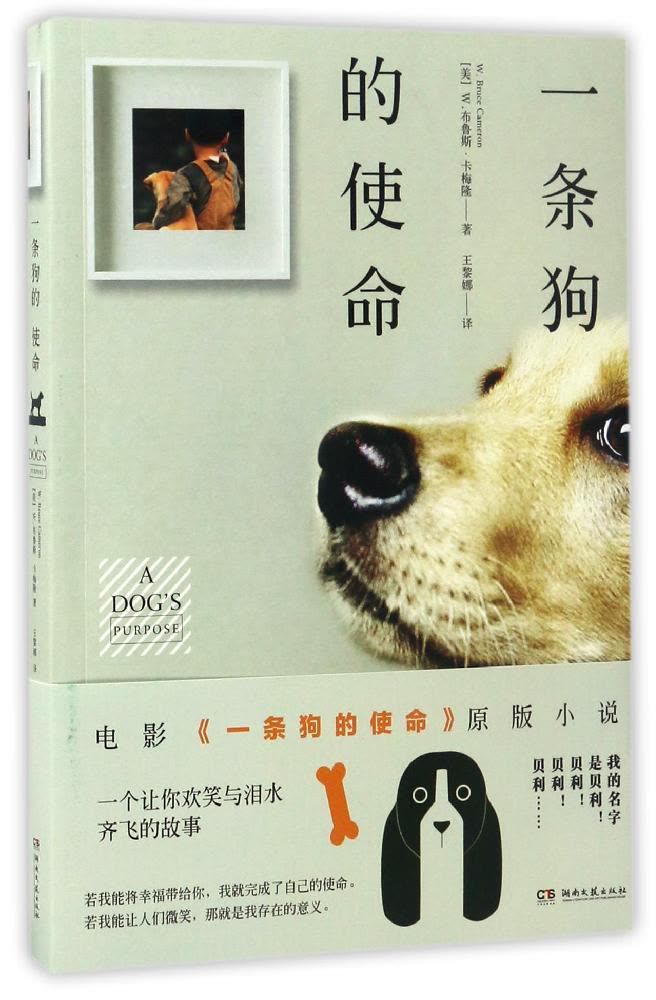 星空app官方网页