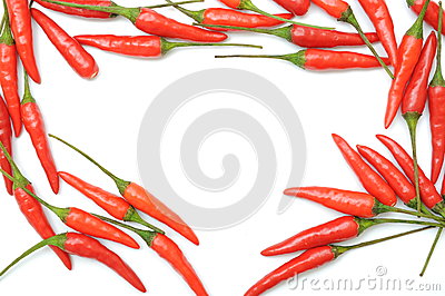 星空app官方网页